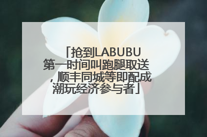 抢到LABUBU第一时间叫跑腿取送，顺丰同城等即配成潮玩经济参与者