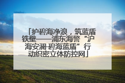 护碧海净浪，筑蓝盾铁壁——浦东海警“沪海安澜·碧海蓝盾”行动织密立体防控网