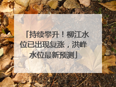 持续攀升！柳江水位已出现复涨，洪峰水位最新预测