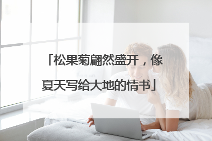 松果菊翩然盛开，像夏天写给大地的情书