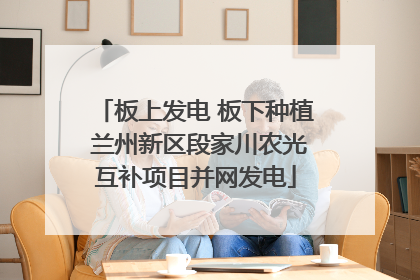 板上发电 板下种植 兰州新区段家川农光互补项目并网发电