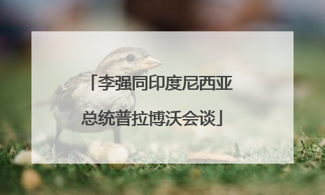 李强同印度尼西亚总统普拉博沃会谈