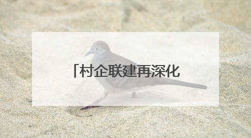 村企联建再深化！扬州产发集团与槐泗镇共绘乡村振兴新蓝图