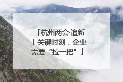 杭州两会·追新丨关键时刻，企业需要“拉一把”