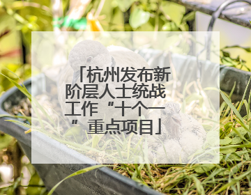 杭州发布新阶层人士统战工作“十个一”重点项目