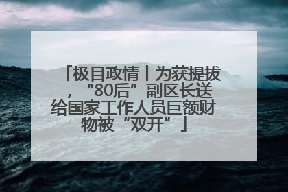 极目政情丨为获提拔，“80后”副区长送给国家工作人员巨额财物被“双开”
