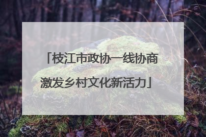 枝江市政协一线协商激发乡村文化新活力