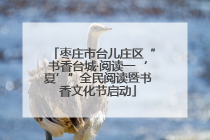 枣庄市台儿庄区“书香台城·阅读一‘夏’”全民阅读暨书香文化节启动