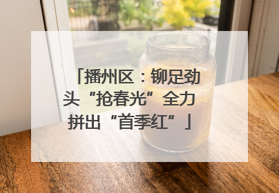 播州区：铆足劲头“抢春光”全力拼出“首季红”