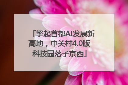擎起首都AI发展新高地，中关村4.0版科技园落子京西