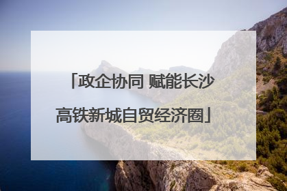 政企协同 赋能长沙高铁新城自贸经济圈
