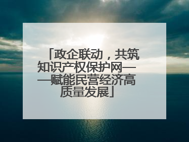 政企联动，共筑知识产权保护网——赋能民营经济高质量发展