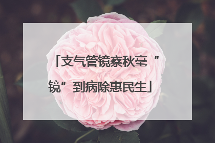 支气管镜察秋毫“镜”到病除惠民生