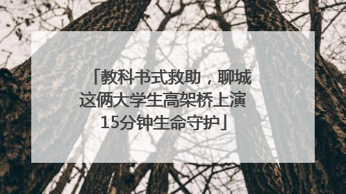 教科书式救助，聊城这俩大学生高架桥上演15分钟生命守护