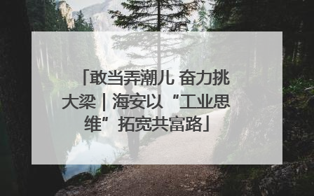 敢当弄潮儿 奋力挑大梁｜海安以“工业思维”拓宽共富路