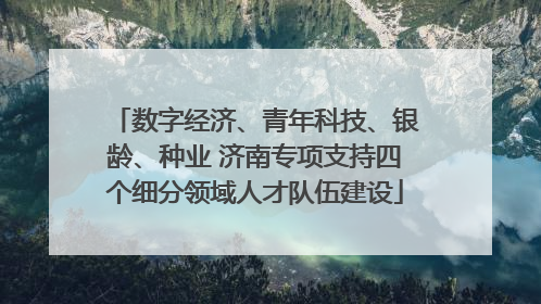 数字经济、青年科技、银龄、种业 济南专项支持四个细分领域人才队伍建设