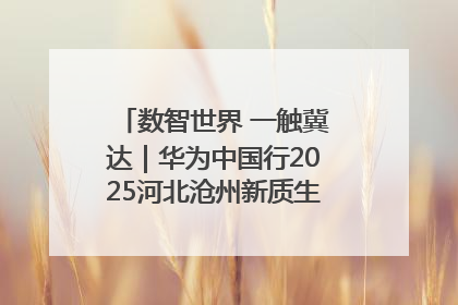 数智世界 一触冀达｜华为中国行2025河北沧州新质生产力峰会成功举办