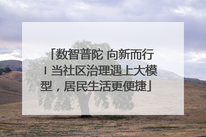 数智普陀 向新而行〡当社区治理遇上大模型，居民生活更便捷