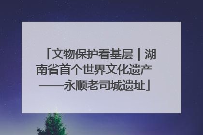 文物保护看基层｜湖南省首个世界文化遗产——永顺老司城遗址