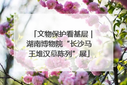 文物保护看基层｜湖南博物院“长沙马王堆汉墓陈列”展