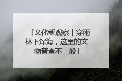 文化新观察｜穿雨林下深海，这里的文物普查不一般