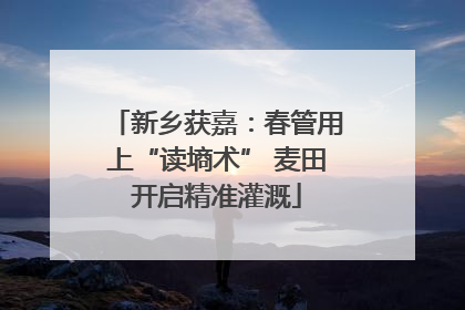 新乡获嘉：春管用上“读墒术” 麦田开启精准灌溉