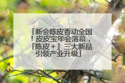 新会陈皮香动全国！皮皮宝年会落幕，「陈皮＋」三大新品引领产业升级