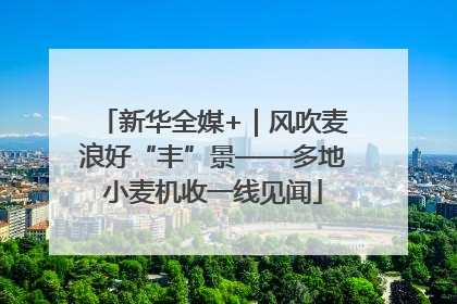 新华全媒+｜风吹麦浪好“丰”景——多地小麦机收一线见闻
