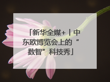 新华全媒+丨中东欧博览会上的“数智”科技秀