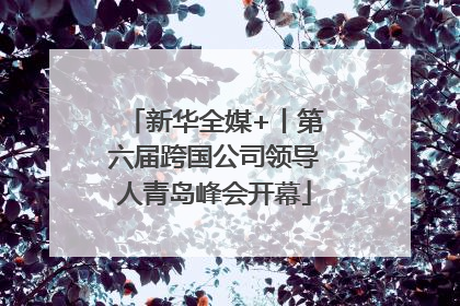 新华全媒+丨第六届跨国公司领导人青岛峰会开幕