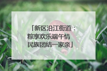 新区沿江街道：粽享欢乐端午情 民族团结一家亲