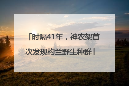 时隔41年，神农架首次发现杓兰野生种群