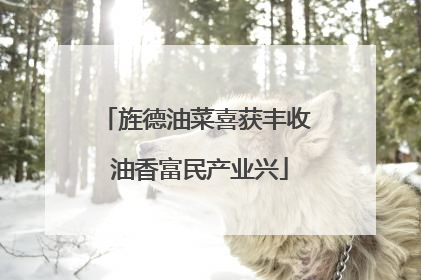 旌德油菜喜获丰收 油香富民产业兴