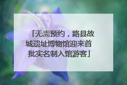 无需预约，路县故城遗址博物馆迎来首批实名制入馆游客