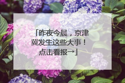昨夜今晨，京津冀发生这些大事！点击看报→