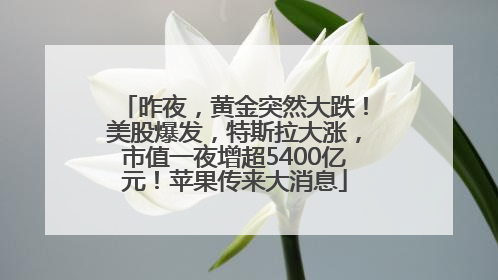 昨夜，黄金突然大跌！美股爆发，特斯拉大涨，市值一夜增超5400亿元！苹果传来大消息