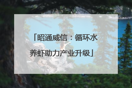 昭通威信：循环水养虾助力产业升级