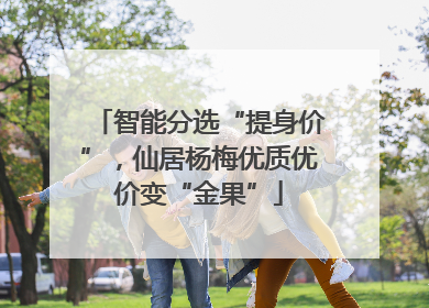 智能分选“提身价”，仙居杨梅优质优价变“金果”
