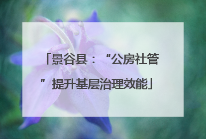 景谷县：“公房社管”提升基层治理效能