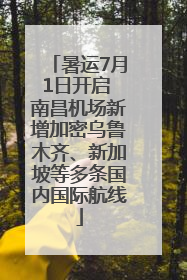 暑运7月1日开启 南昌机场新增加密乌鲁木齐、新加坡等多条国内国际航线