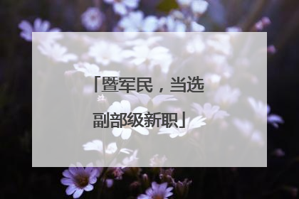 暨军民，当选副部级新职