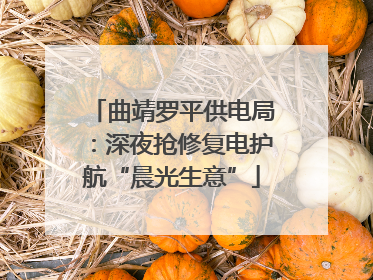 曲靖罗平供电局：深夜抢修复电护航“晨光生意”