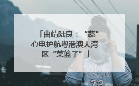 曲靖陆良：“蔬”心电护航粤港澳大湾区“菜篮子”