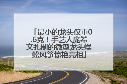 最小的龙头仅重0.6克！手艺人庞希文扎制的微型龙头蜈蚣风筝惊艳亮相