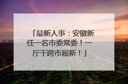 最新人事：安徽新任一名市委常委！一厅干跨市履新！