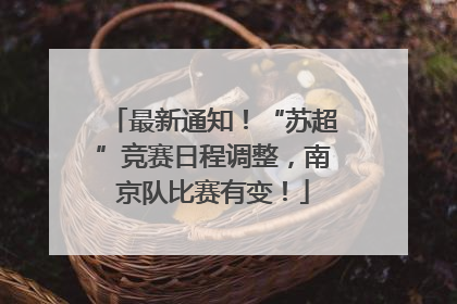 最新通知！“苏超”竞赛日程调整，南京队比赛有变！