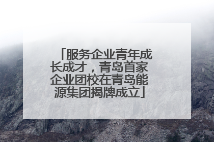 服务企业青年成长成才，青岛首家企业团校在青岛能源集团揭牌成立