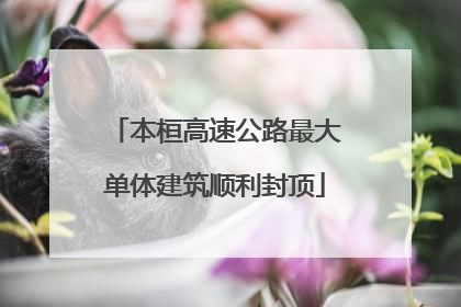 本桓高速公路最大单体建筑顺利封顶