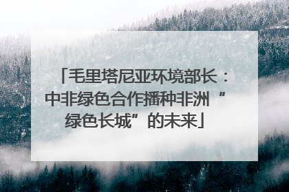 毛里塔尼亚环境部长：中非绿色合作播种非洲“绿色长城”的未来