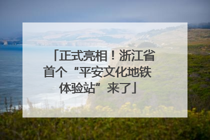 正式亮相！浙江省首个“平安文化地铁体验站”来了